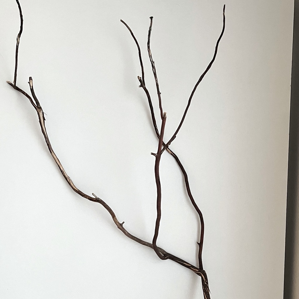 Mendocino Manzanita Branches